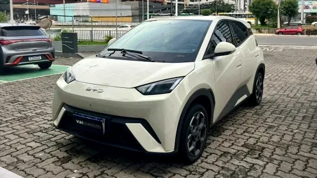 Foto de um byd dolphin mini