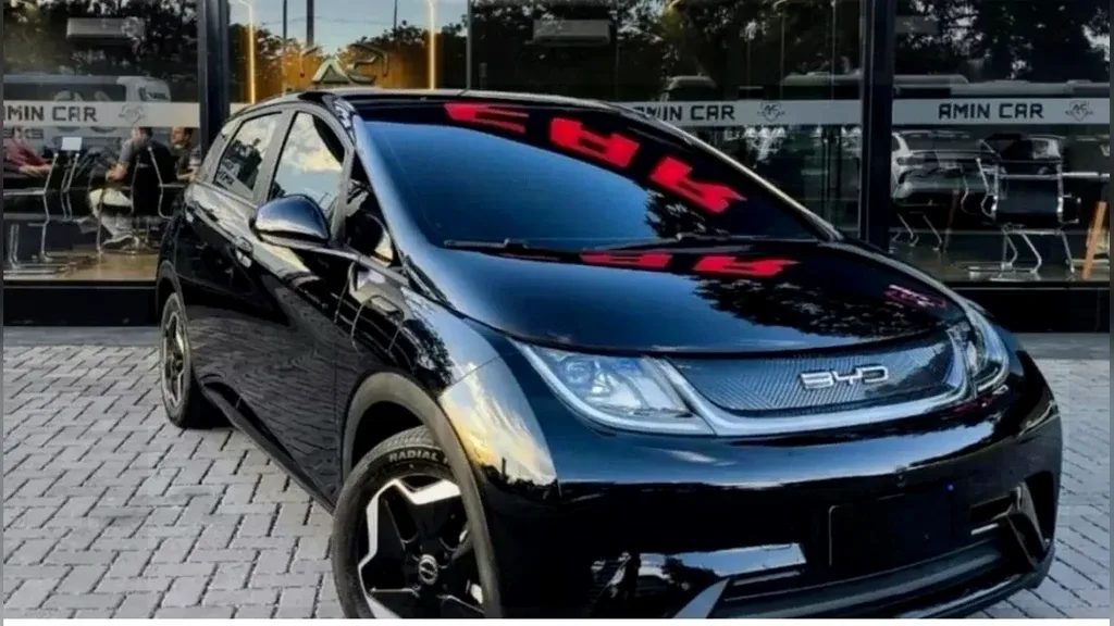 Foto de um byd dolphin