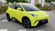 BYD Dolphin Mini - Miniatura 3