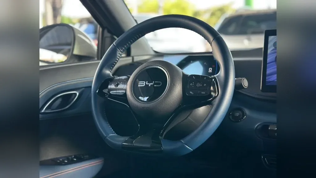 BYD Dolphin Mini - Imagem 12