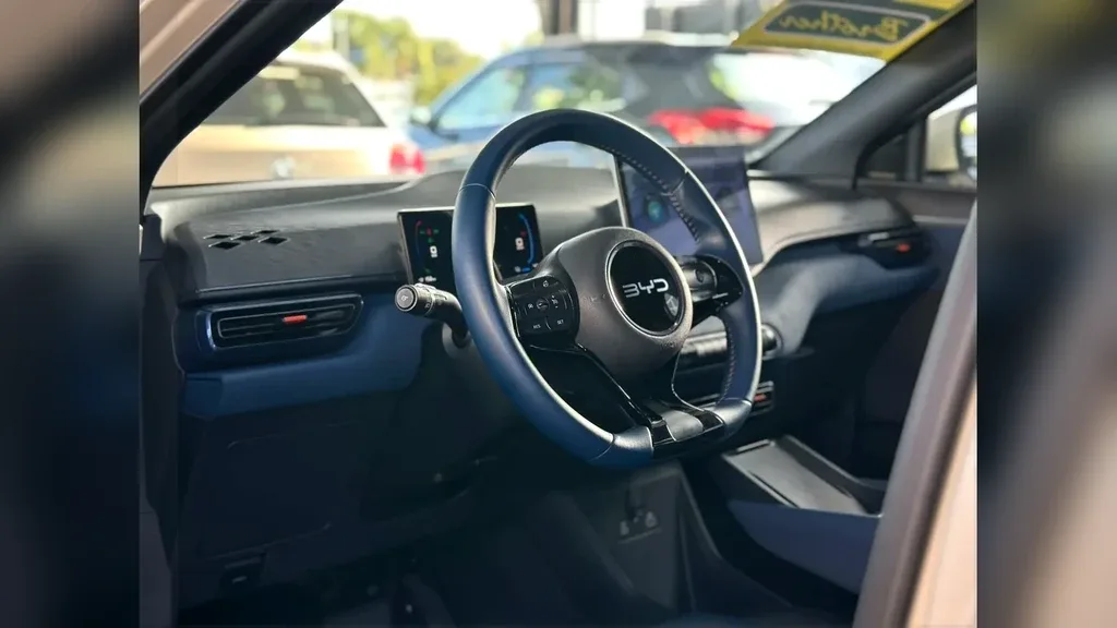 BYD Dolphin Mini - Imagem 13