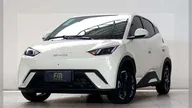 BYD Dolphin Mini - Miniatura 1