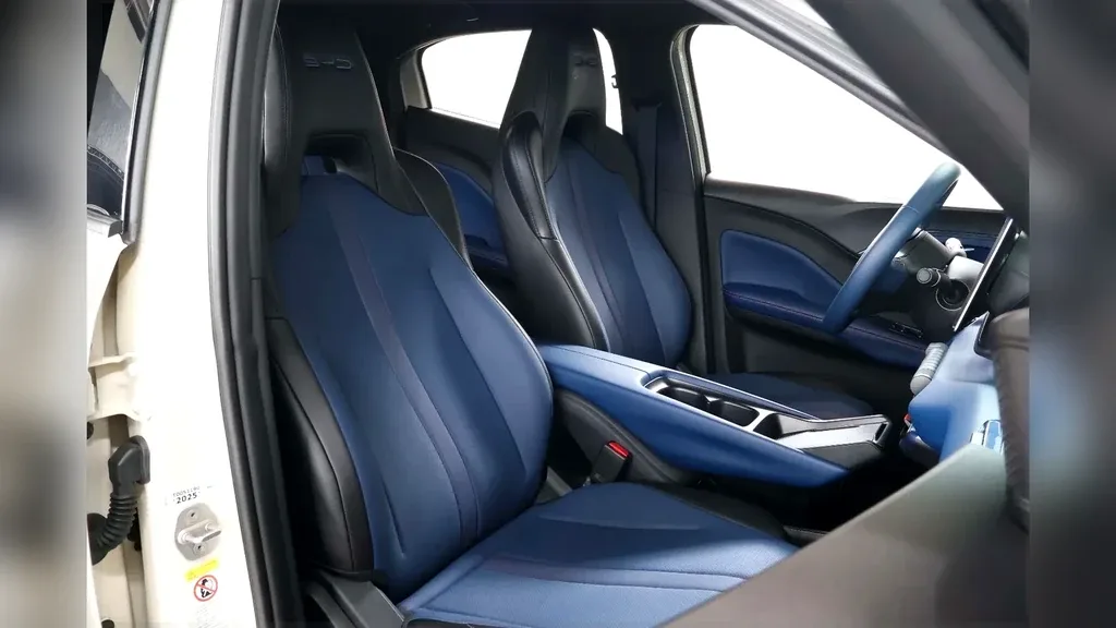 BYD Dolphin Mini - Imagem 16