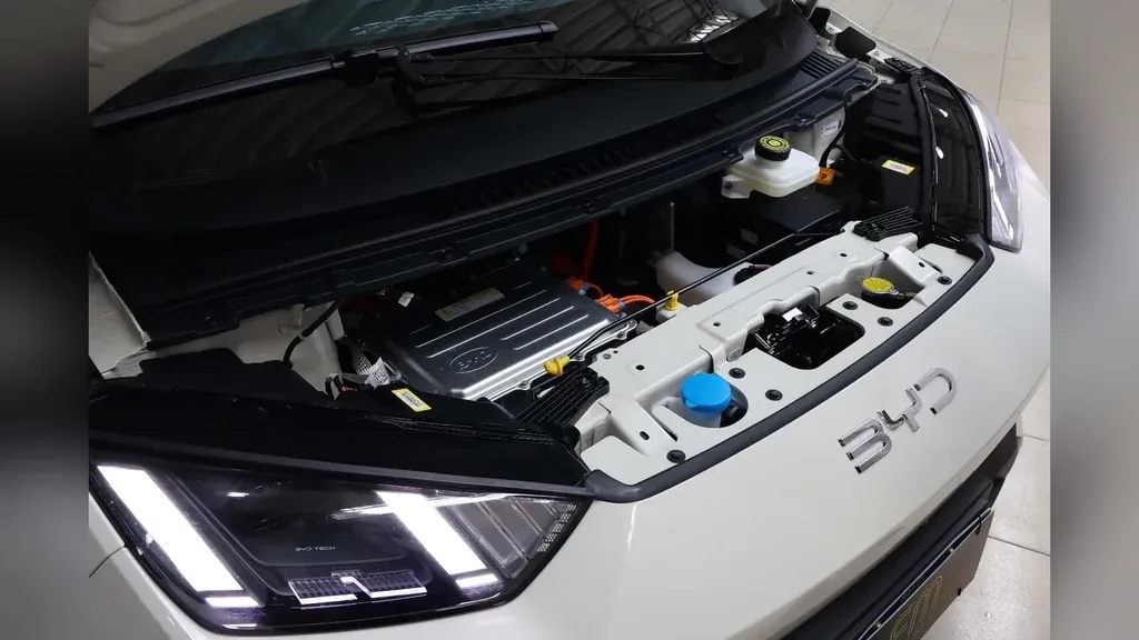 BYD Dolphin Mini - Imagem 18