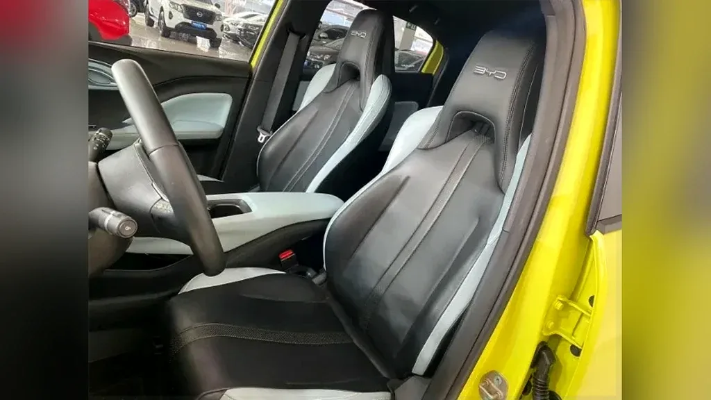 BYD Dolphin Mini - Imagem 11