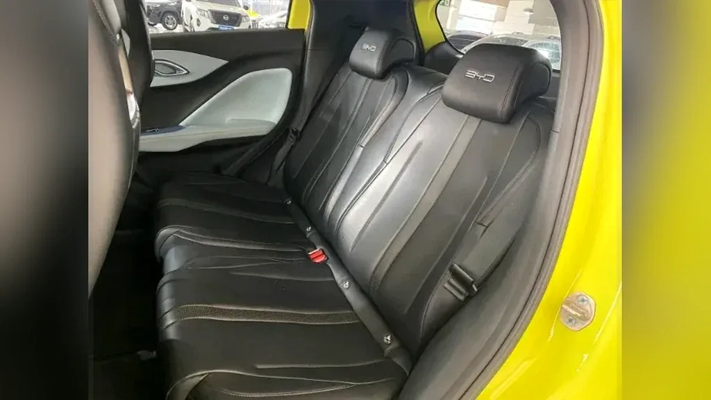 BYD Dolphin Mini - Imagem 12