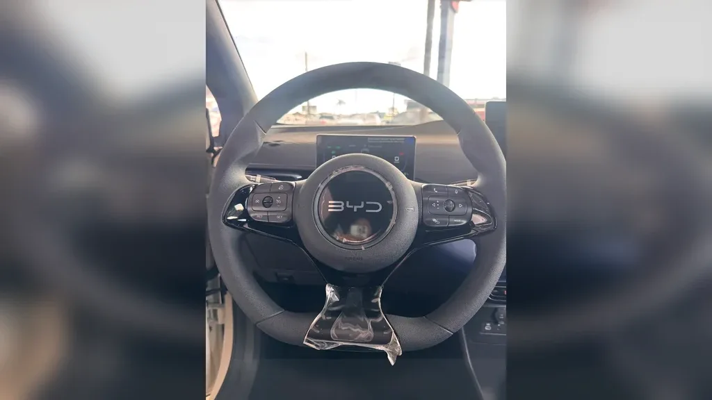 BYD Dolphin Mini - Imagem 12