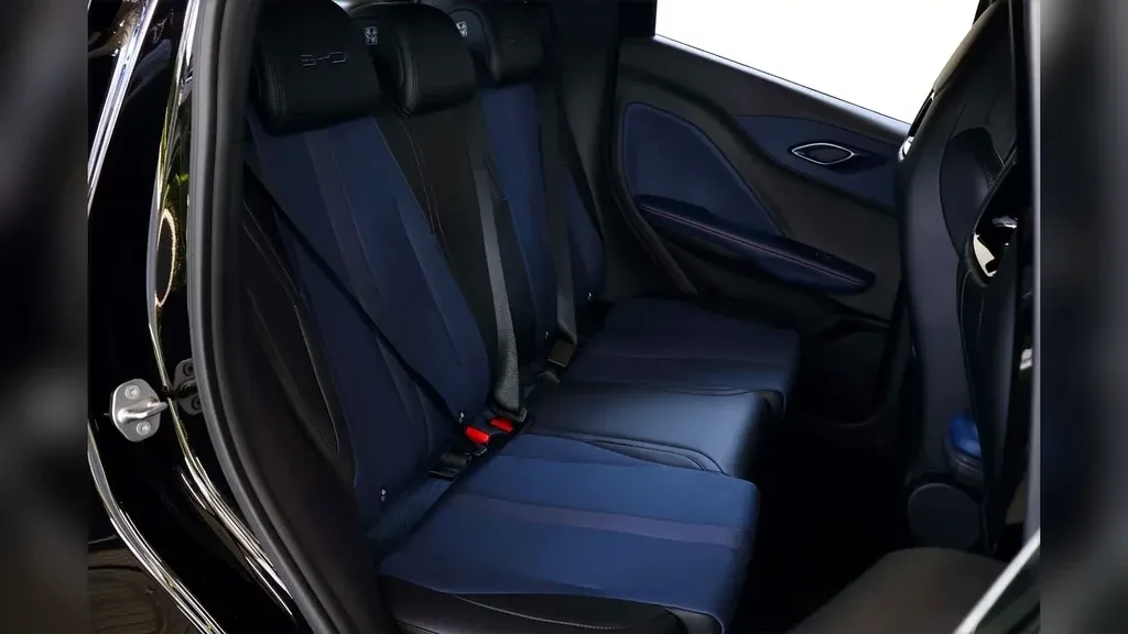 BYD Dolphin Mini - Imagem 15