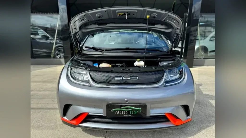 BYD Dolphin - Imagem 17