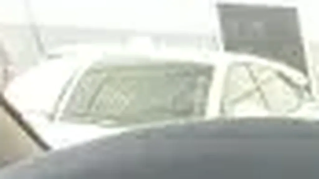 BYD Dolphin Mini - Imagem 6