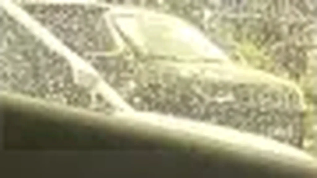 BYD Dolphin Mini - Imagem 14