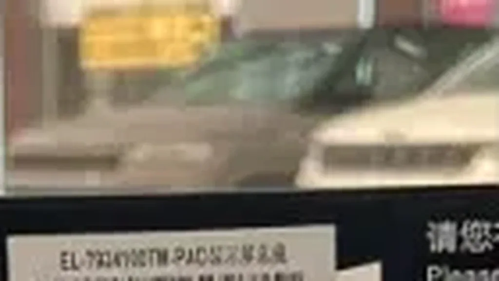 BYD Dolphin Mini - Imagem 16