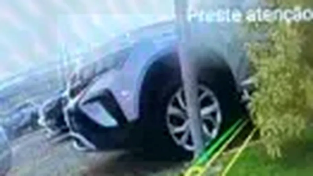 BYD Dolphin Mini - Imagem 18