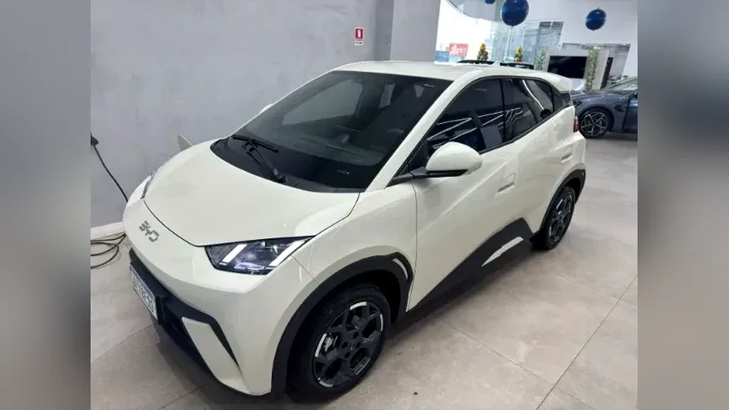 BYD Dolphin Mini - Imagem 11
