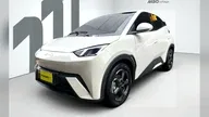 BYD Dolphin Mini