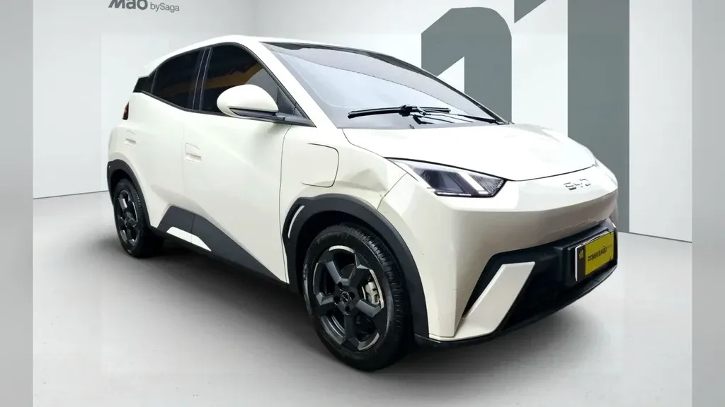 BYD Dolphin Mini - Imagem 2