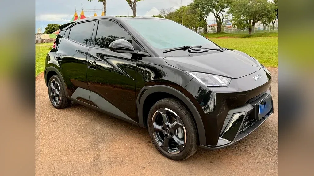 Foto de um byd dolphin mini