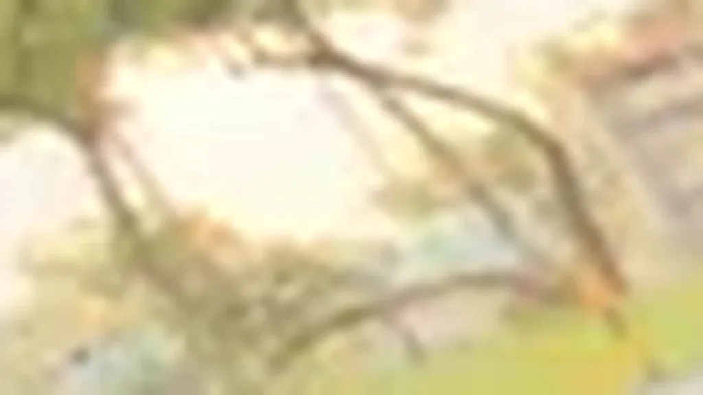 BYD Dolphin Mini - Imagem 13