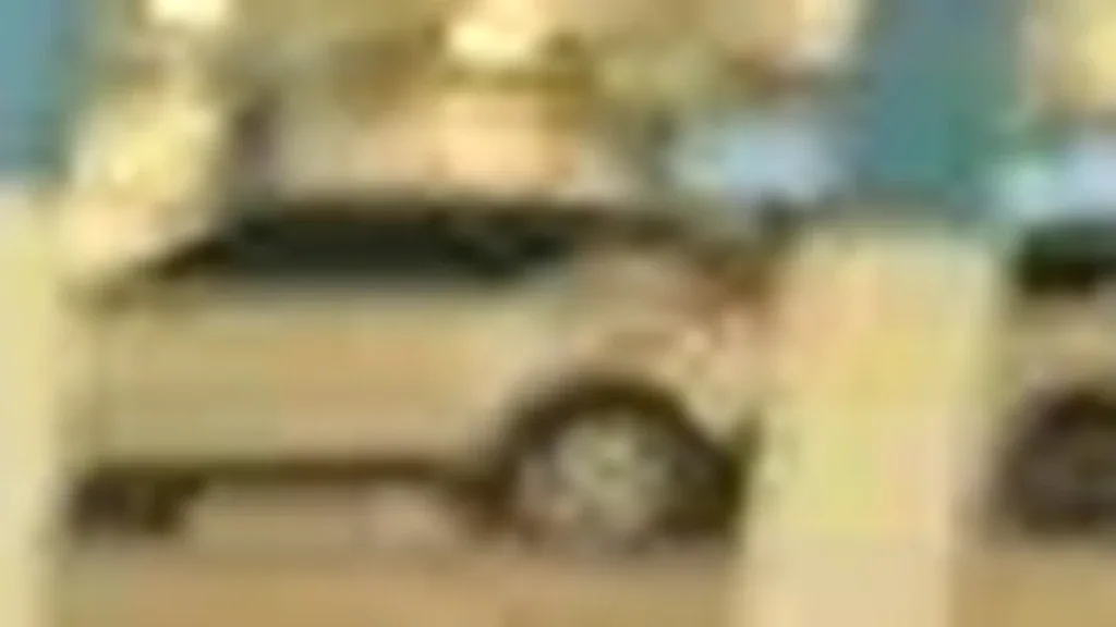 BYD Dolphin - Imagem 13