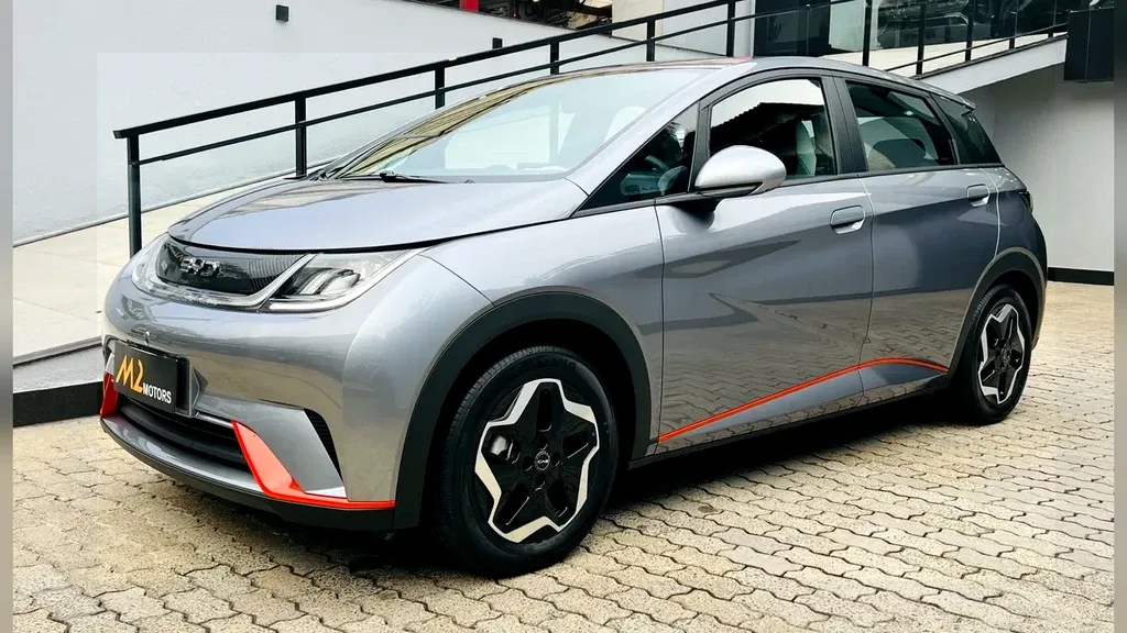 Foto de um byd dolphin