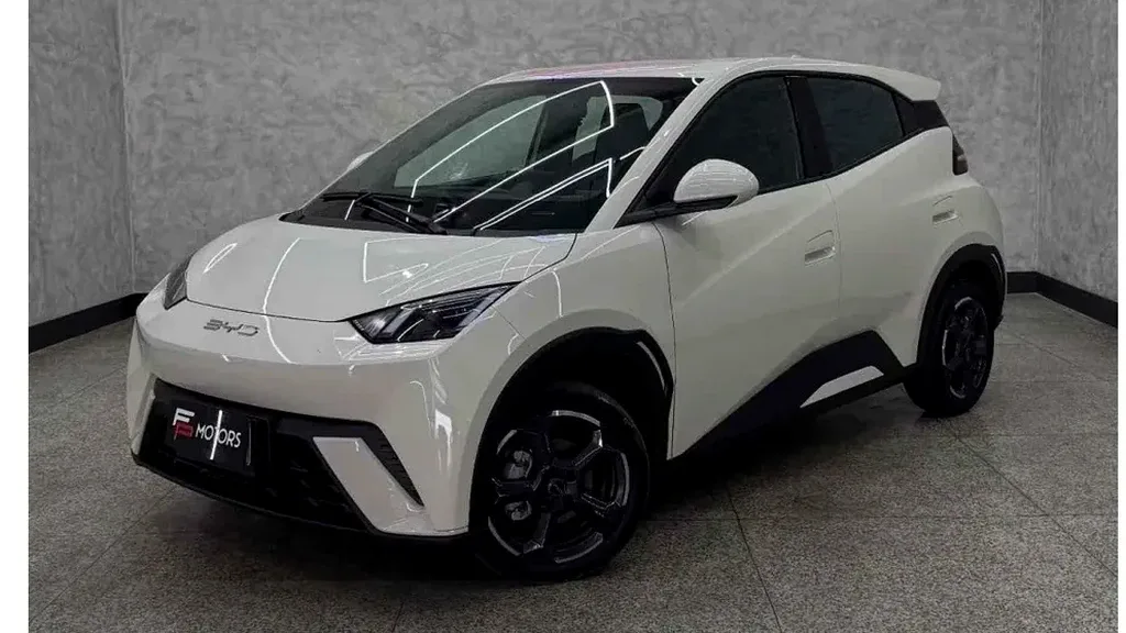 Foto de um byd dolphin plus