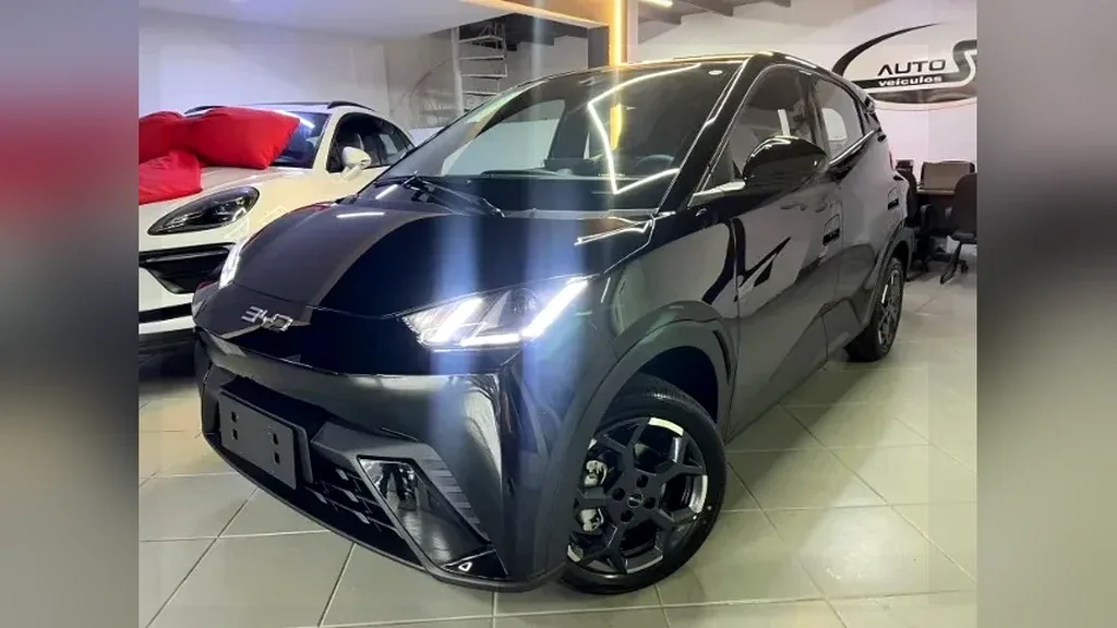 Foto de um byd dolphin mini