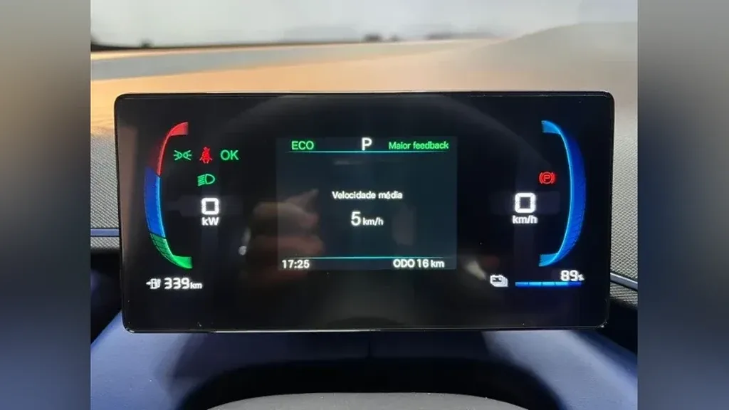 BYD Dolphin Mini - Imagem 14