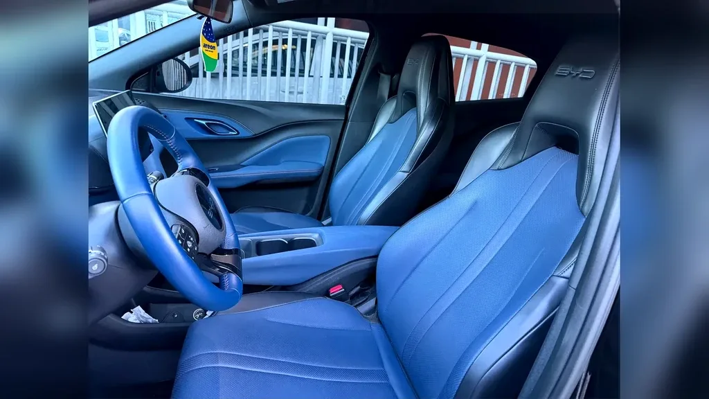 BYD Dolphin Mini - Imagem 11