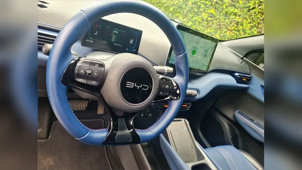 BYD Dolphin Mini - Imagem 6