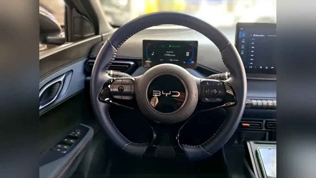 BYD Dolphin Mini - Imagem 12