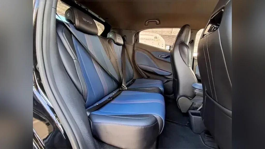 BYD Dolphin Mini - Imagem 16