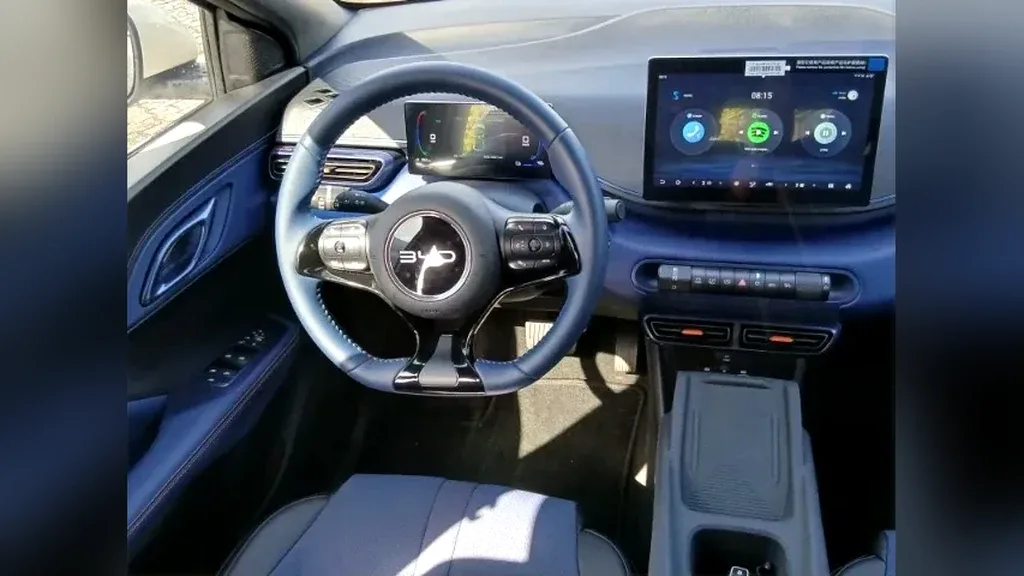 BYD Dolphin Mini - Imagem 13