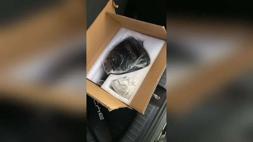 BYD Dolphin Mini - Imagem 20