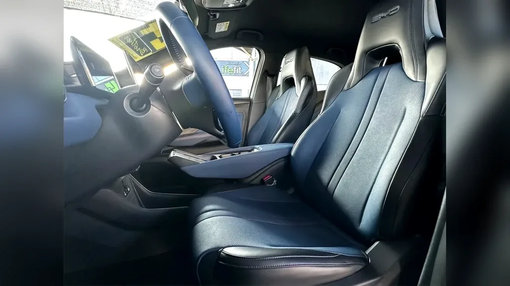 BYD Dolphin Mini - Imagem 11