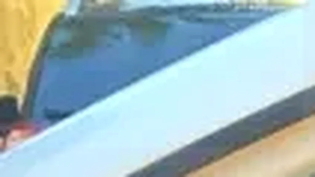 JAC E-JS1 - Imagem 7