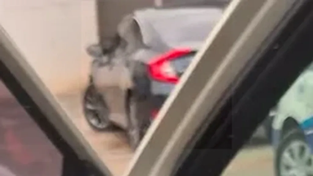 BYD Dolphin Mini - Imagem 5