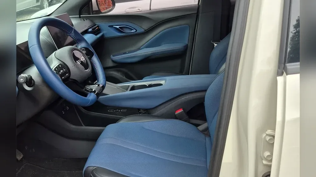 BYD Dolphin Mini - Imagem 10