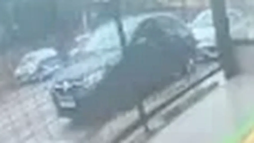 BYD Dolphin Mini - Imagem 12