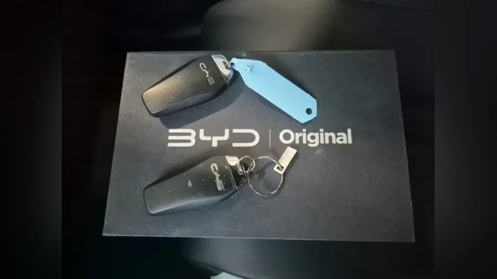 BYD Dolphin Mini - Imagem 13