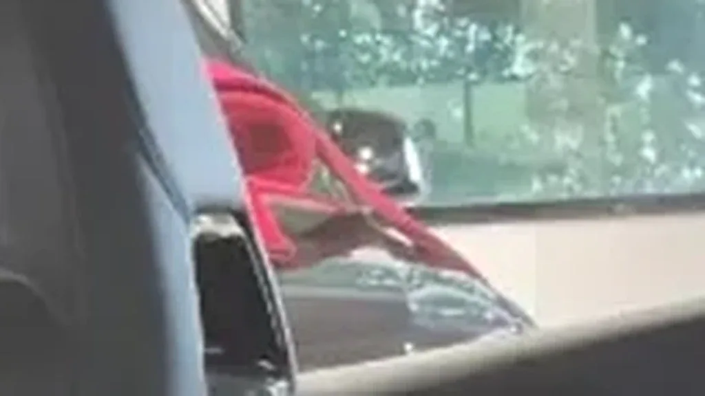 BYD Dolphin Mini - Imagem 10