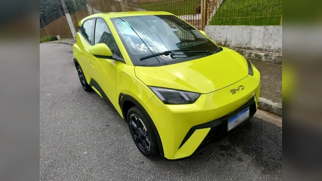 Foto de um byd dolphin mini