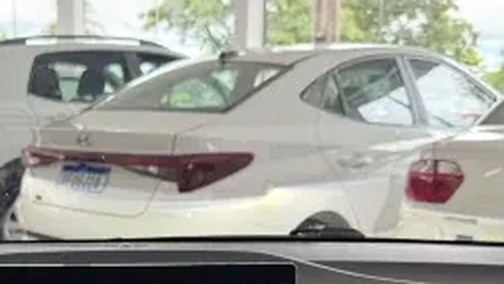 BYD Dolphin Mini - Imagem 11