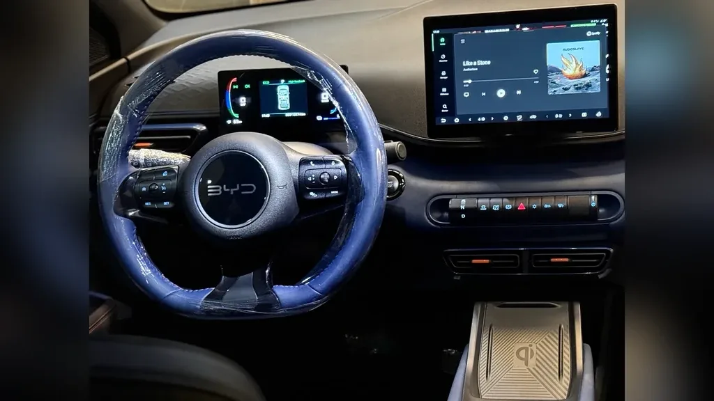 BYD Dolphin Mini - Imagem 14