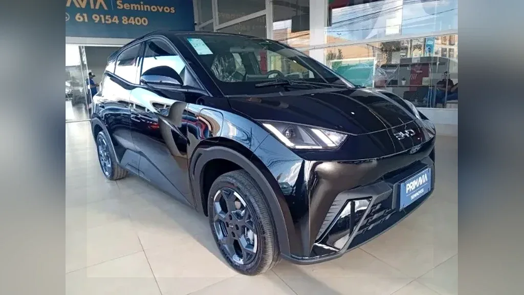 Foto de um byd dolphin mini