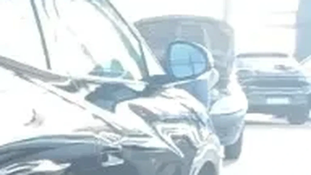 BYD Dolphin Mini - Imagem 2