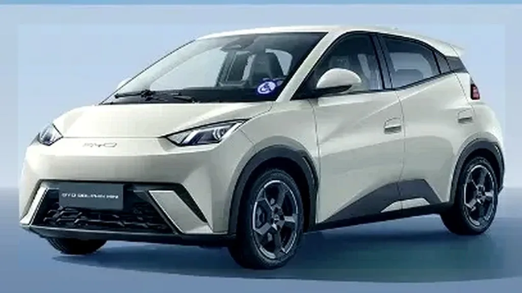 Foto de um byd dolphin mini