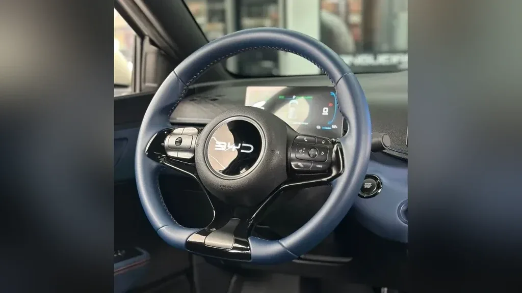 BYD Dolphin Mini - Imagem 5