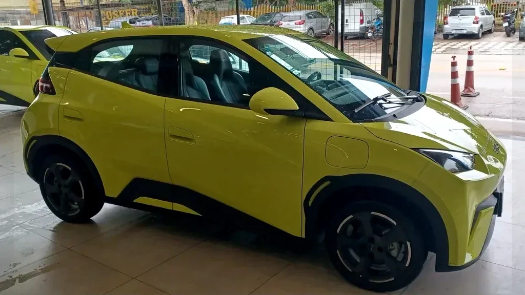 Foto de um byd dolphin mini