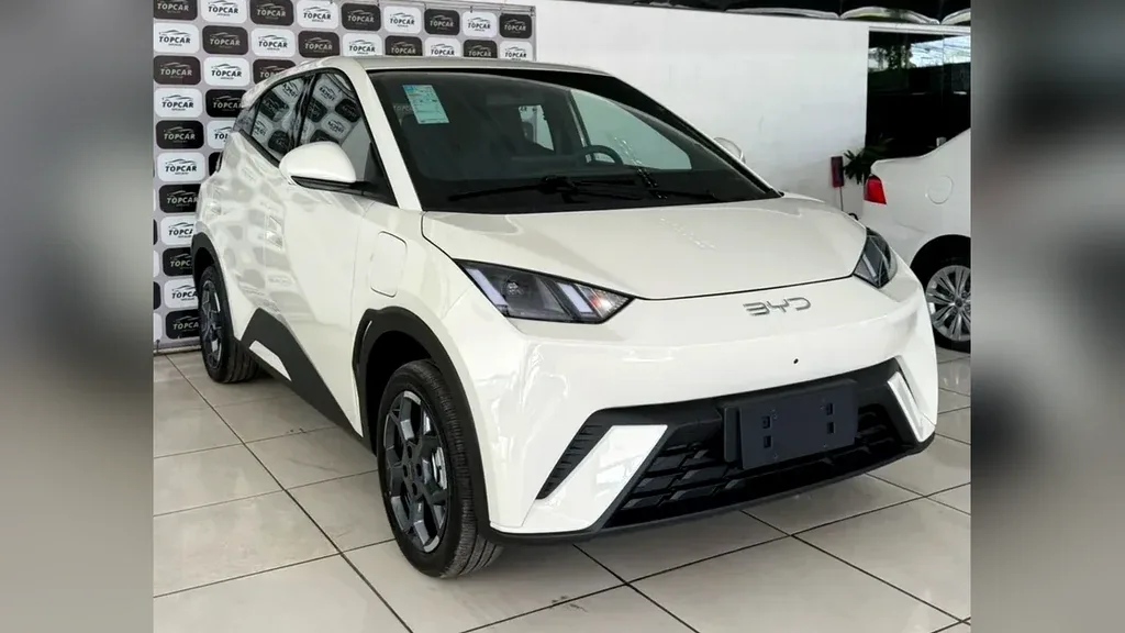 BYD Dolphin Mini - Imagem 9