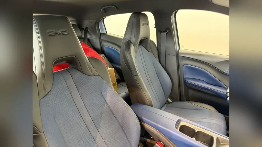 BYD Dolphin Mini - Imagem 14